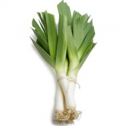 LEEKS BUNCH