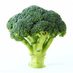 BROCCOLI