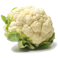 CAULIFLOWER