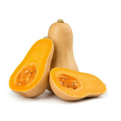 CALABAZA