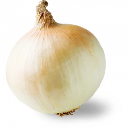 BULK ONION