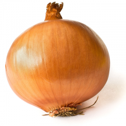 BUTI ONION