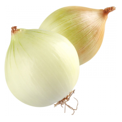 SWEET ONION