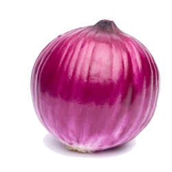 PURPLE ONION