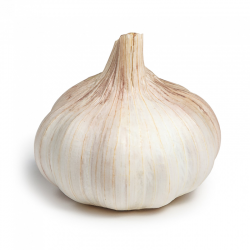 WHITE GARLIC