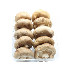 MUSHROOM SHIITAKE TRAY