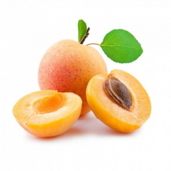 APRICOT