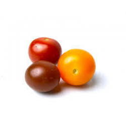 CHERRY TOMATO TRICOLOR TRAY