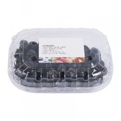 Blueberries tray