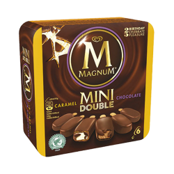 MAGNUM MINI DOUBLE ICE CREAM