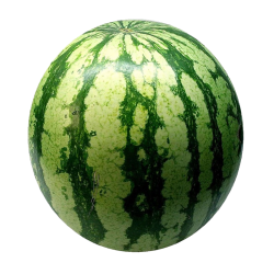 Striped watermelon