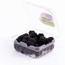 Blackberry tub tray