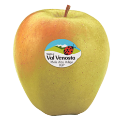 GOLDEN VAL VENOSTA APPLE