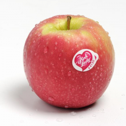 Apple PINK LADY