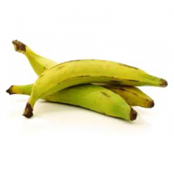 BANANAS plantains