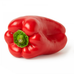 PIMIENTO ROJO