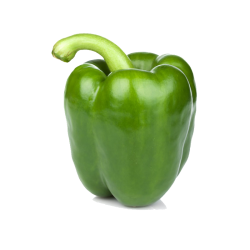 GREEN PEPPER