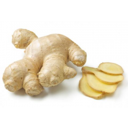 GINGER