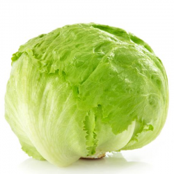 LECHUGA ICEBERG UNIDAD