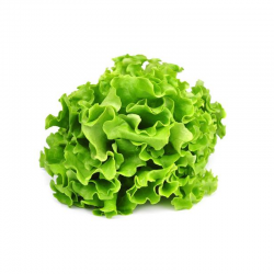 LETTUCE from the country UNIT